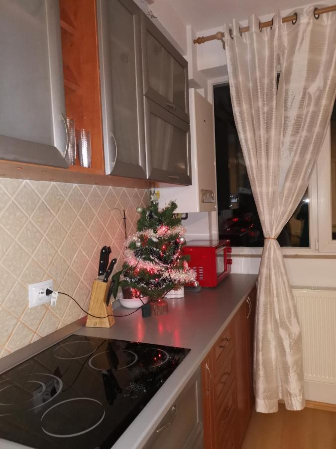 Ferienwohnung Apartament Ana Poiana Brașov Exterior foto