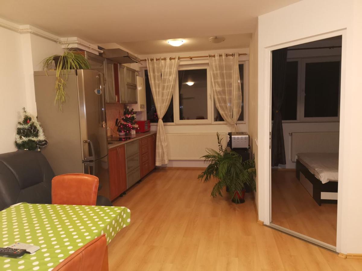 Ferienwohnung Apartament Ana Poiana Brașov Exterior foto