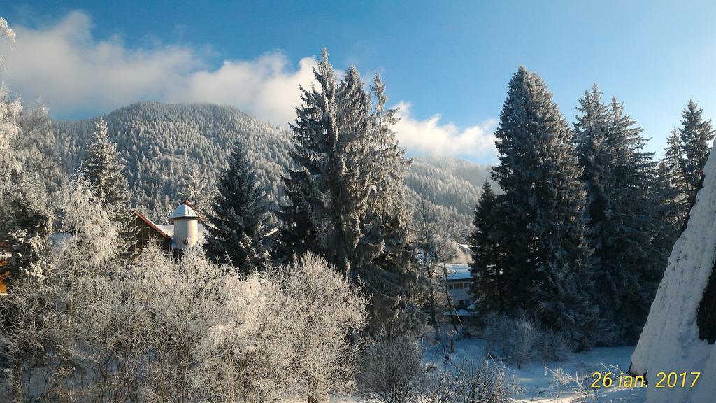 Ferienwohnung Apartament Ana Poiana Brașov Exterior foto